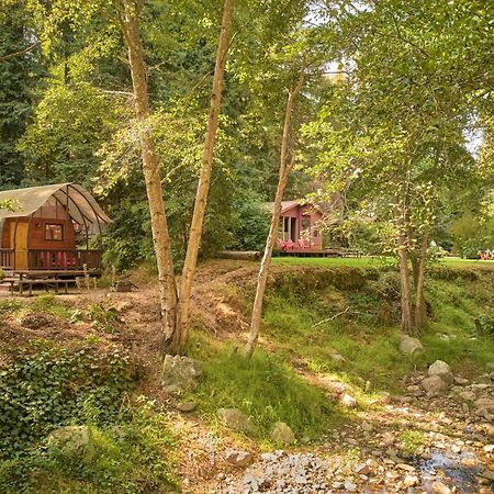 Big Sur Campground And Cabins المظهر الخارجي الصورة
