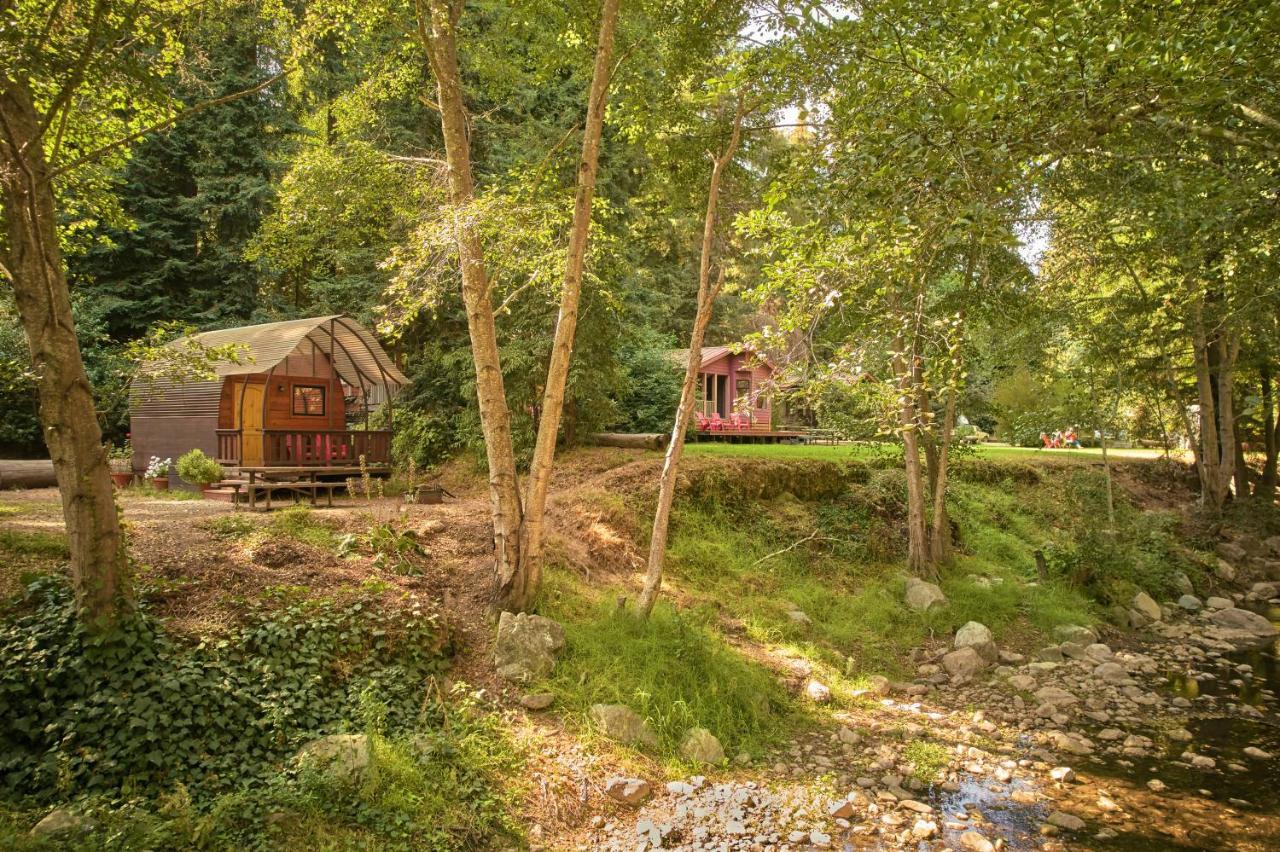 Big Sur Campground And Cabins المظهر الخارجي الصورة