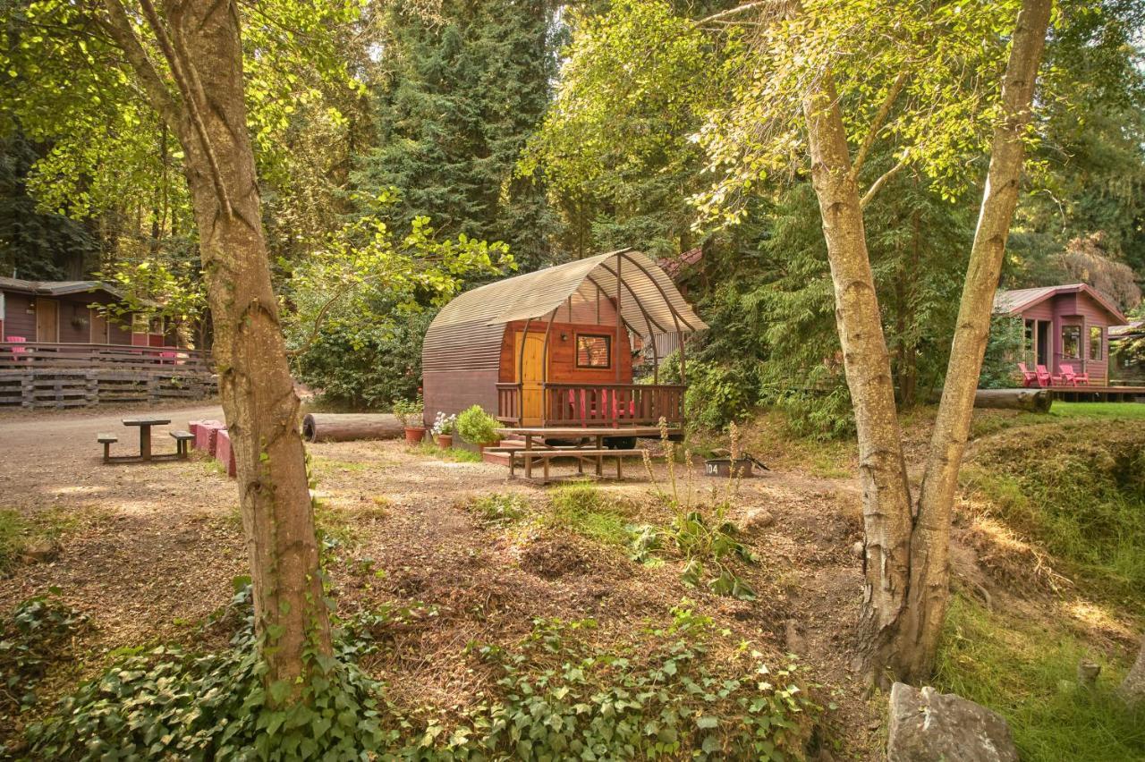 Big Sur Campground And Cabins المظهر الخارجي الصورة