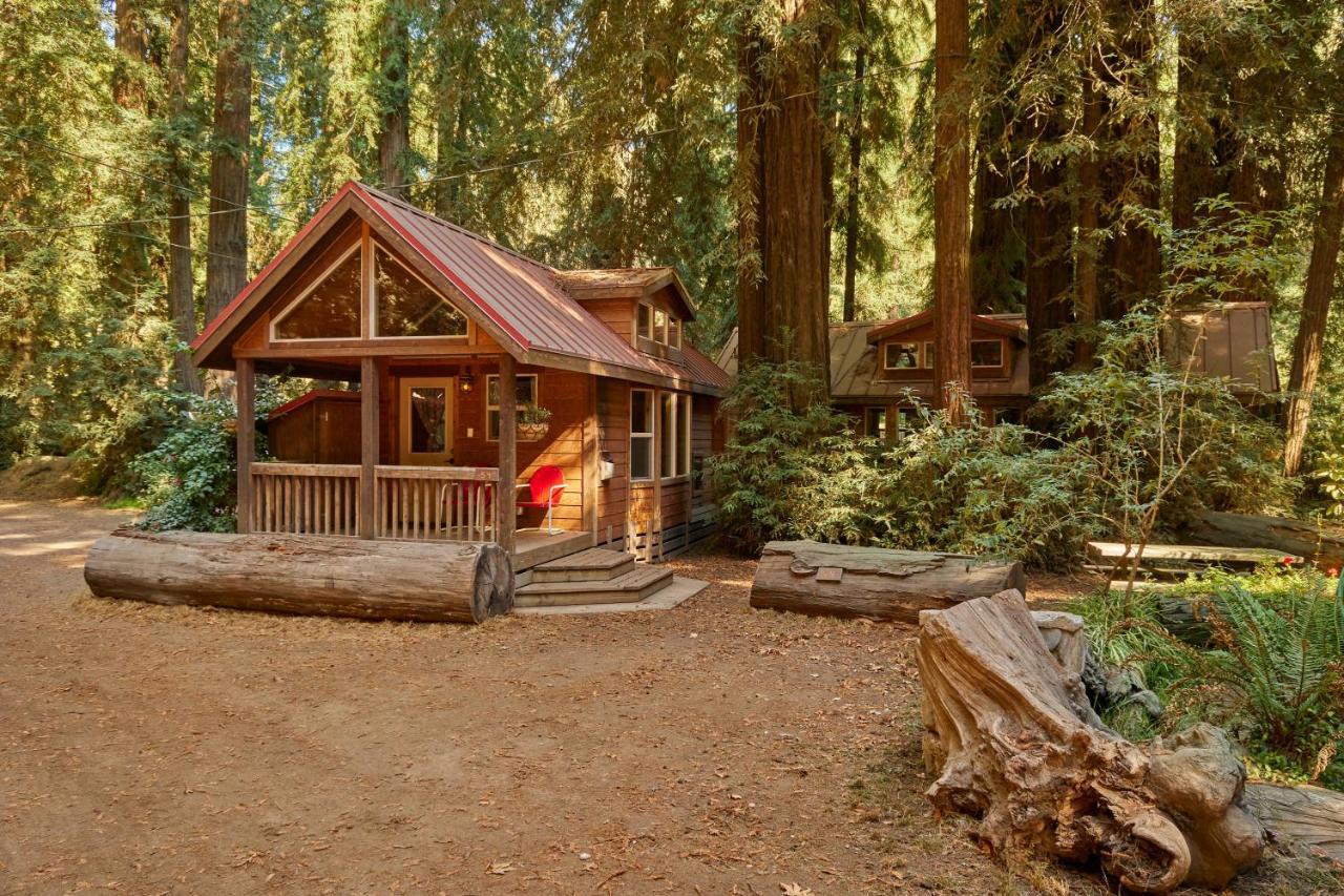 Big Sur Campground And Cabins المظهر الخارجي الصورة